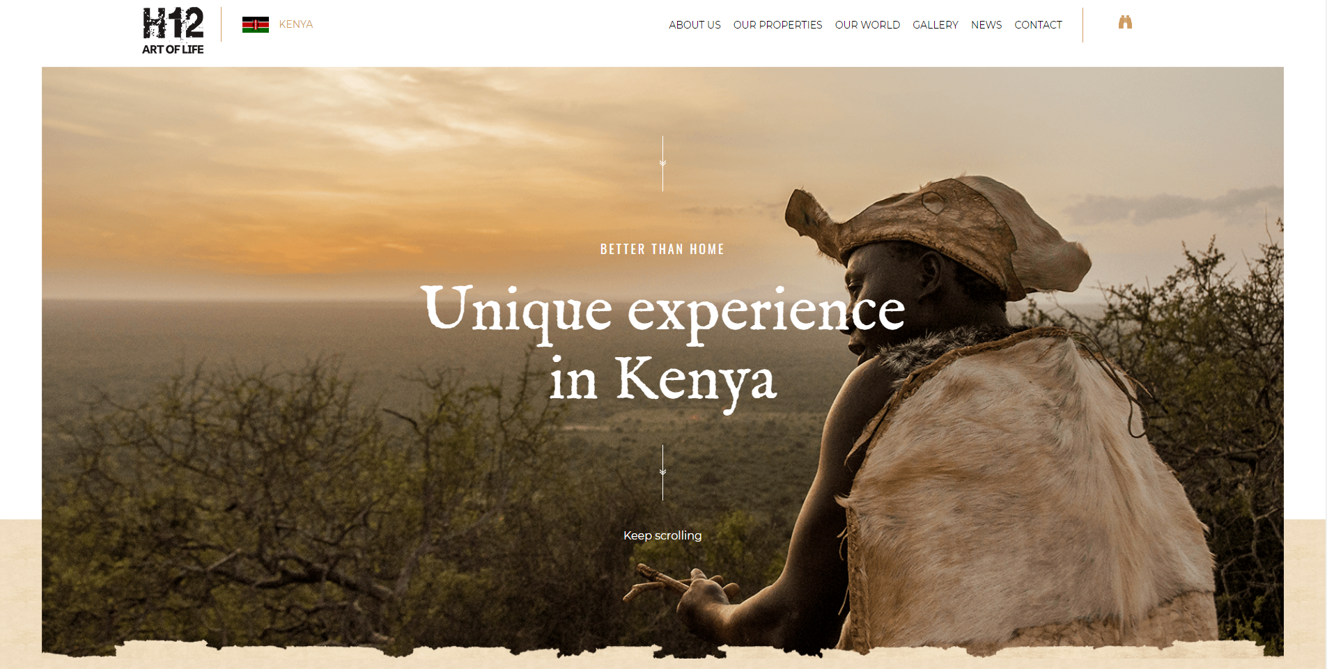2018-05-04 13_12_49-Homepage - H12 Africa
