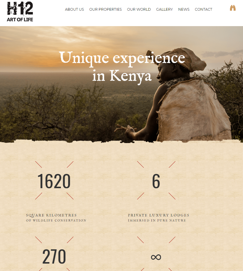 2018-05-04 13_36_02-Homepage - H12 Africa